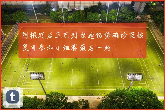 阿根廷后卫巴列尔迪伤势确诊若恢复可参加小组赛最后一轮