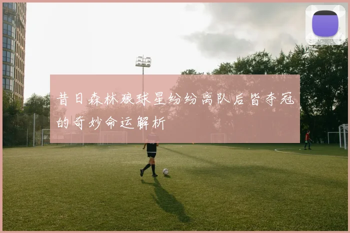 昔日森林狼球星纷纷离队后皆夺冠的奇妙命运解析